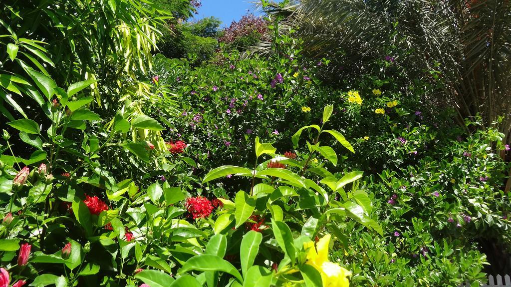 Bed And Breakfast Maison Papaye La Gaulette Exterior photo